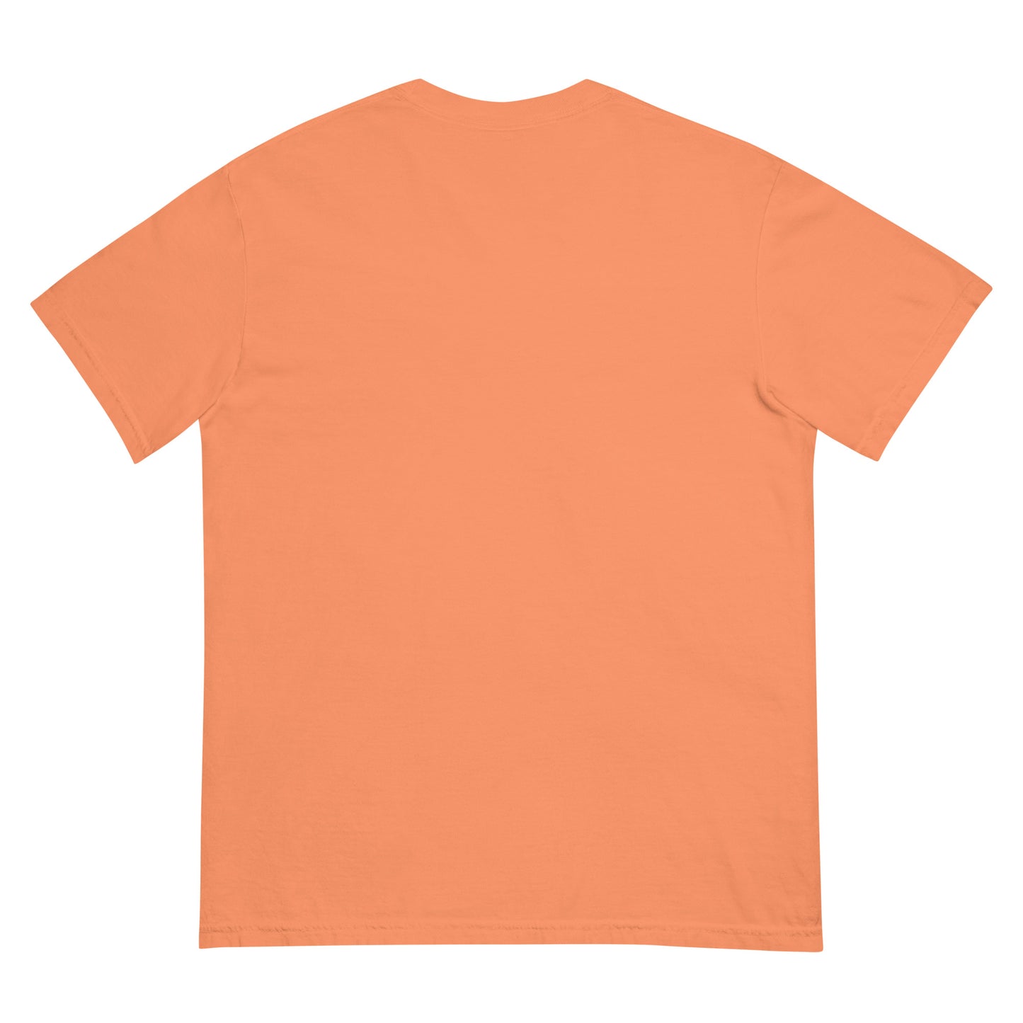 God's Plan Tee